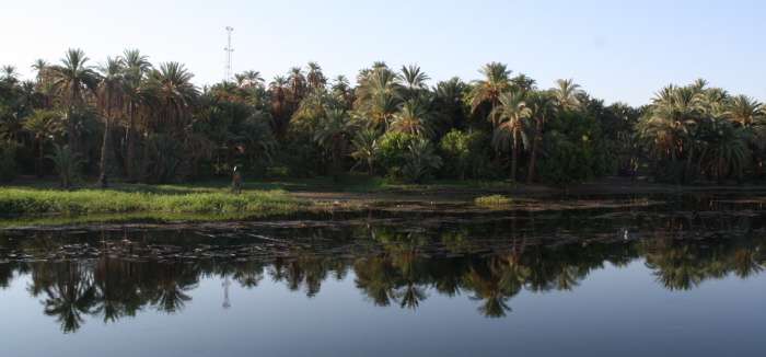 6to.Dia. Emotivo - En Dahabiya, por el Nilo, con otros ojos (4)